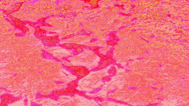 Kopya alanı, vektör illüstrasyon deseni olan soyut yaratıcı arkaplan