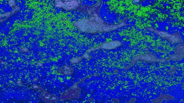 Soyut arkaplan. çok- renkli doku çizimi.