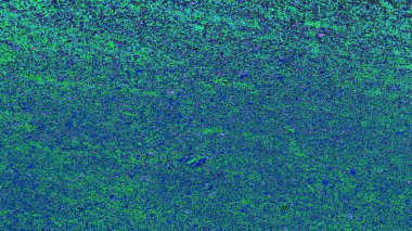 soyut arkaplan dokusu, mavi - yeşil