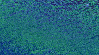 soyut yeşil doku, arkaplan, duvar kağıdını kopyala