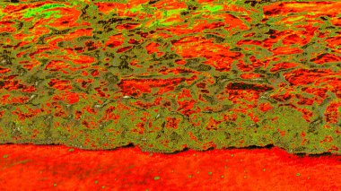 Soyut Yeşil ve sarı doku arka plan