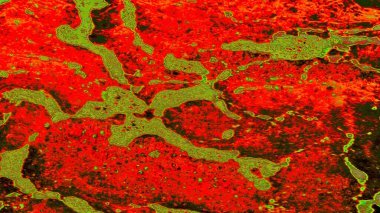 desen, desen, arkaplan, duvar kağıdı