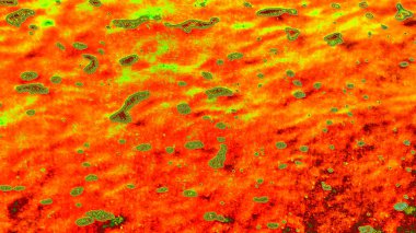 yeşil ve kırmızı rengin arkaplan dokusu