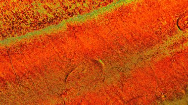 soyut kırmızı doku arkaplanı, duvar kağıdı tasarımı konseptini kopyala