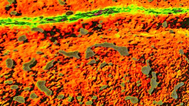 Soyut arkaplan. çok- renkli doku çizimi.