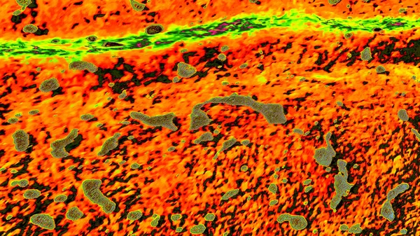 Soyut arkaplan. çok- renkli doku çizimi.