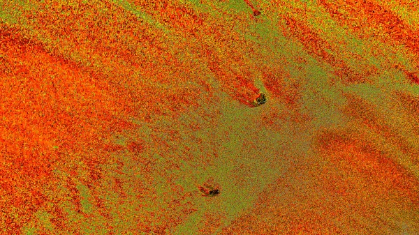 soyut kırmızı doku arkaplanı, tasarım kavramı için kopyalama alanı