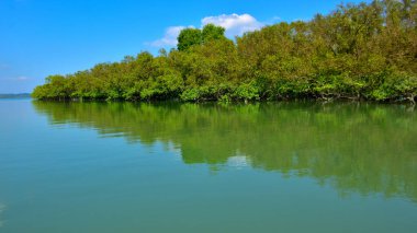 Bakkhali nehrinin güzel manzarası yemyeşil mangrov ormanları ve Bangladeş 'teki Cox' s Bazar 'da mavi gökyüzü..