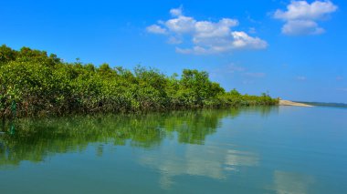 Bakkhali nehrinin güzel manzarası yemyeşil mangrov ormanları ve Bangladeş 'teki Cox' s Bazar 'da mavi gökyüzü..