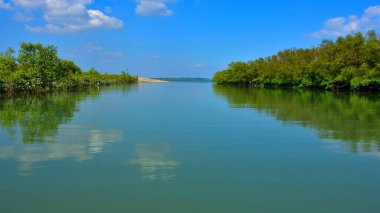 Bakkhali nehrinin güzel manzarası yemyeşil mangrov ormanları ve Bangladeş 'teki Cox' s Bazar 'da mavi gökyüzü..