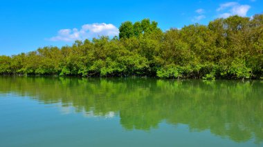 Bakkhali nehrinin güzel manzarası yemyeşil mangrov ormanları ve Bangladeş 'teki Cox' s Bazar 'da mavi gökyüzü..