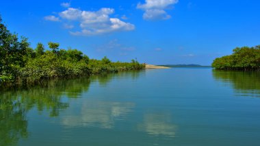 Bakkhali nehrinin güzel manzarası yemyeşil mangrov ormanları ve Bangladeş 'teki Cox' s Bazar 'da mavi gökyüzü..