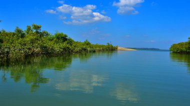 Bakkhali nehrinin güzel manzarası yemyeşil mangrov ormanları ve Bangladeş 'teki Cox' s Bazar 'da mavi gökyüzü..