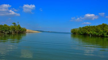 Bengal Körfezi 'nin sakin sularına yansıyan tropik mangrov ormanı parlak güneşli bir gökyüzünün altında..