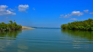 Bengal Körfezi 'nin sakin sularına yansıyan tropik mangrov ormanı parlak güneşli bir gökyüzünün altında..