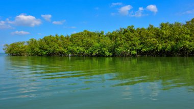 Bakkhali nehrinin güzel manzarası yemyeşil mangrov ormanları ve Bangladeş 'teki Cox' s Bazar 'da mavi gökyüzü..