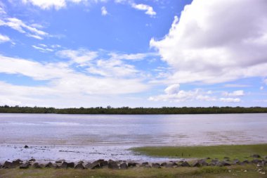 Parktaki nehrin güzel bir görüntüsü.