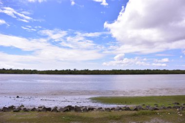 Doğanın güzel manzarası