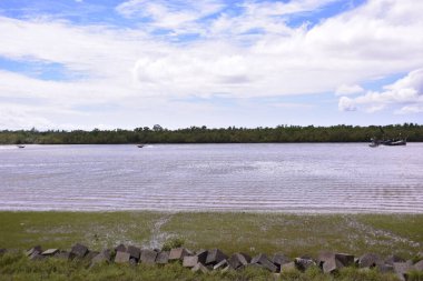 Ormandaki nehrin güzel manzarası