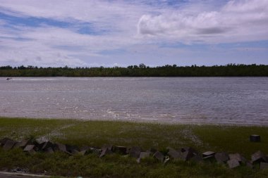 Yeşil çimlerle çevrili bir gölün ve arka planda mavi bulutlu bir gökyüzünün dikey görüntüsü.