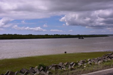 Parktaki nehir manzarası