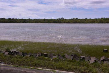 Parktaki nehir manzarası