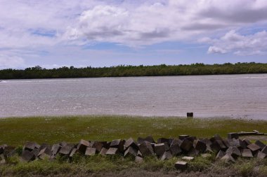 Deniz kıyısında. Doğa, seyahat