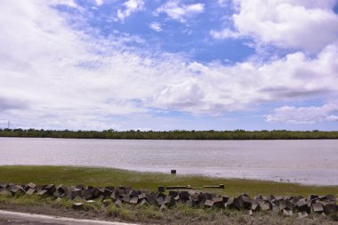 Ormandaki gölün güzel manzarası.