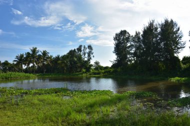 Sri Lanka 'nın güzel manzarası