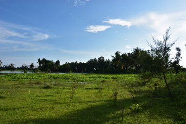 Mavi gökyüzü ile yeşil alan