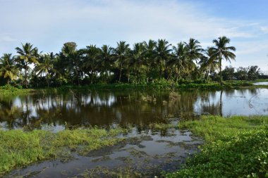 sri lanka'nın peyzaj