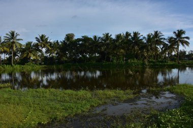 Mavi gökyüzünün altında yeşilliklerle çevrili güzel bir göl manzarası.