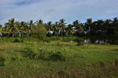 Tayland 'ın güzel doğası, Asya
