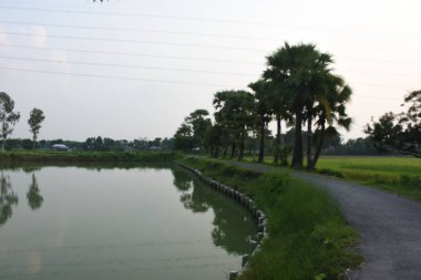 Nehir ve gölü olan güzel bir manzara.