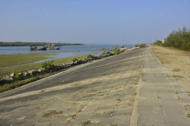 Yazın Baltık Denizi manzarası