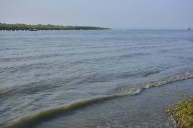 Bakkhali Nehri kıyısında Yumuşak Su Dalgalanmaları ve Sığ Nehir Dalgaları