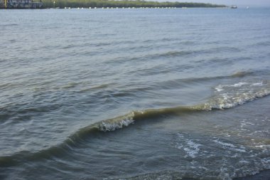 Bakkhali Nehri kıyısında Yumuşak Su Dalgalanmaları ve Sığ Nehir Dalgaları