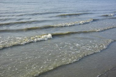 Bakkhali Nehri kıyısında Yumuşak Su Dalgalanmaları ve Sığ Nehir Dalgaları