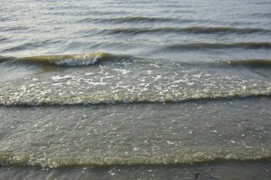 Bakkhali Nehri kıyısında Yumuşak Su Dalgalanmaları ve Sığ Nehir Dalgaları