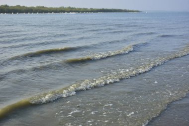 Bakkhali Nehri kıyısında Yumuşak Su Dalgalanmaları ve Sığ Nehir Dalgaları