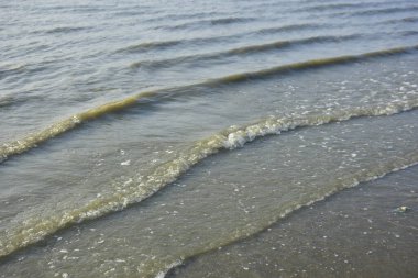 Bakkhali Nehri kıyısında Yumuşak Su Dalgalanmaları ve Sığ Nehir Dalgaları