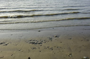 Bakkhali Nehri 'nin sakin bir uzantısı, sığ bir kıyı şeridi boyunca hafif dalgalanmalarla, Bangladeş, Coxs Bazar' da huzurlu bir gelgit nehri manzarasını gösteriyor..