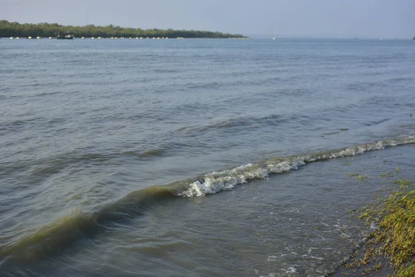 Bakkhali Nehri kıyısında Yumuşak Su Dalgalanmaları ve Sığ Nehir Dalgaları
