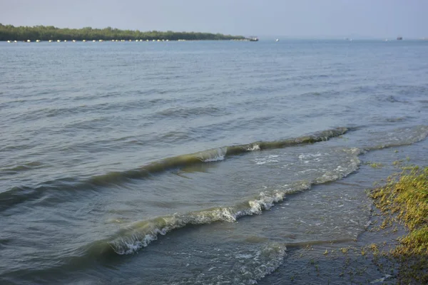 Bakkhali Nehri kıyısında Yumuşak Su Dalgalanmaları ve Sığ Nehir Dalgaları
