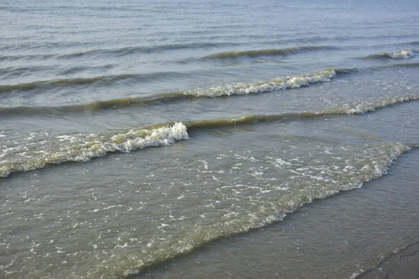 Bakkhali Nehri kıyısında Yumuşak Su Dalgalanmaları ve Sığ Nehir Dalgaları