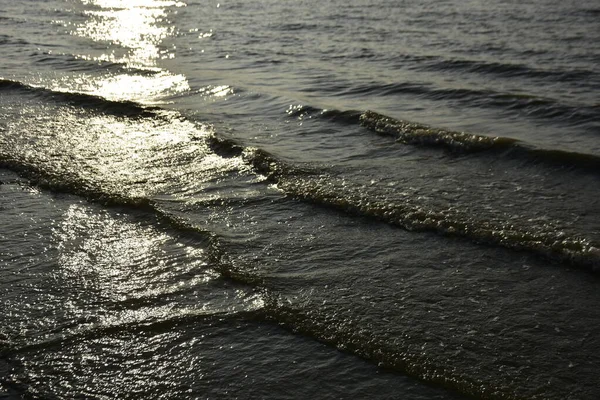 Bakkhali Nehri kıyısında Yumuşak Su Dalgalanmaları ve Sığ Nehir Dalgaları
