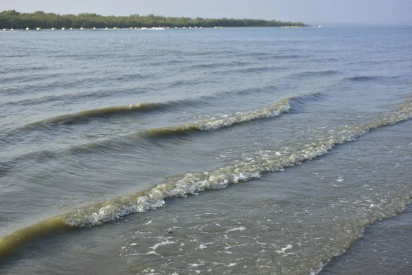 Bakkhali Nehri kıyısında Yumuşak Su Dalgalanmaları ve Sığ Nehir Dalgaları