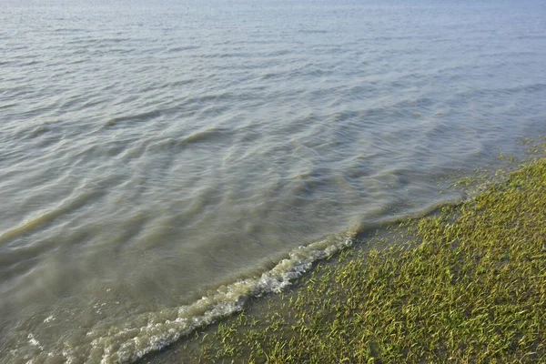 Bakkhali Nehri kıyısında Yumuşak Su Dalgalanmaları ve Sığ Nehir Dalgaları