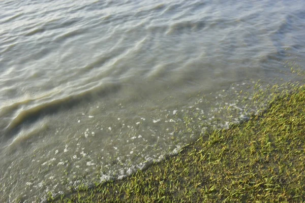 Bakkhali Nehri kıyısında Yumuşak Su Dalgalanmaları ve Sığ Nehir Dalgaları