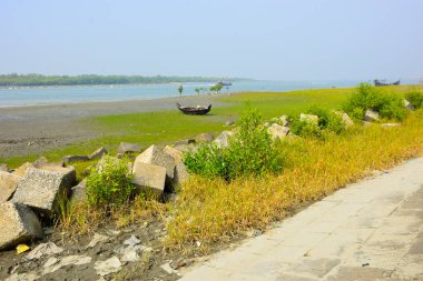 Bangladeş 'teki Bakkhali Nehri boyunca alçak gelgitli kıyı manzarası çamur düzlükleri, istiridye kabukları, mangrov bitkileri, balıkçı tekneleri ve doğal gün ışığında estuarine ekosistemini gösteriyor..